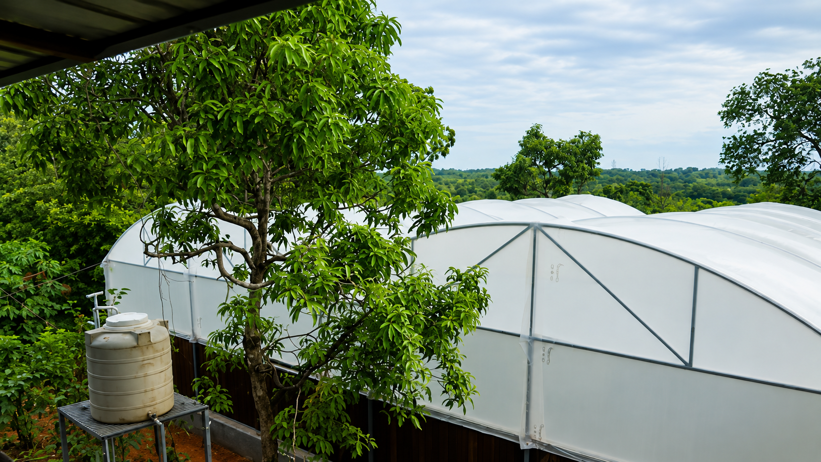 Greenhouse Farming Infrastructure
