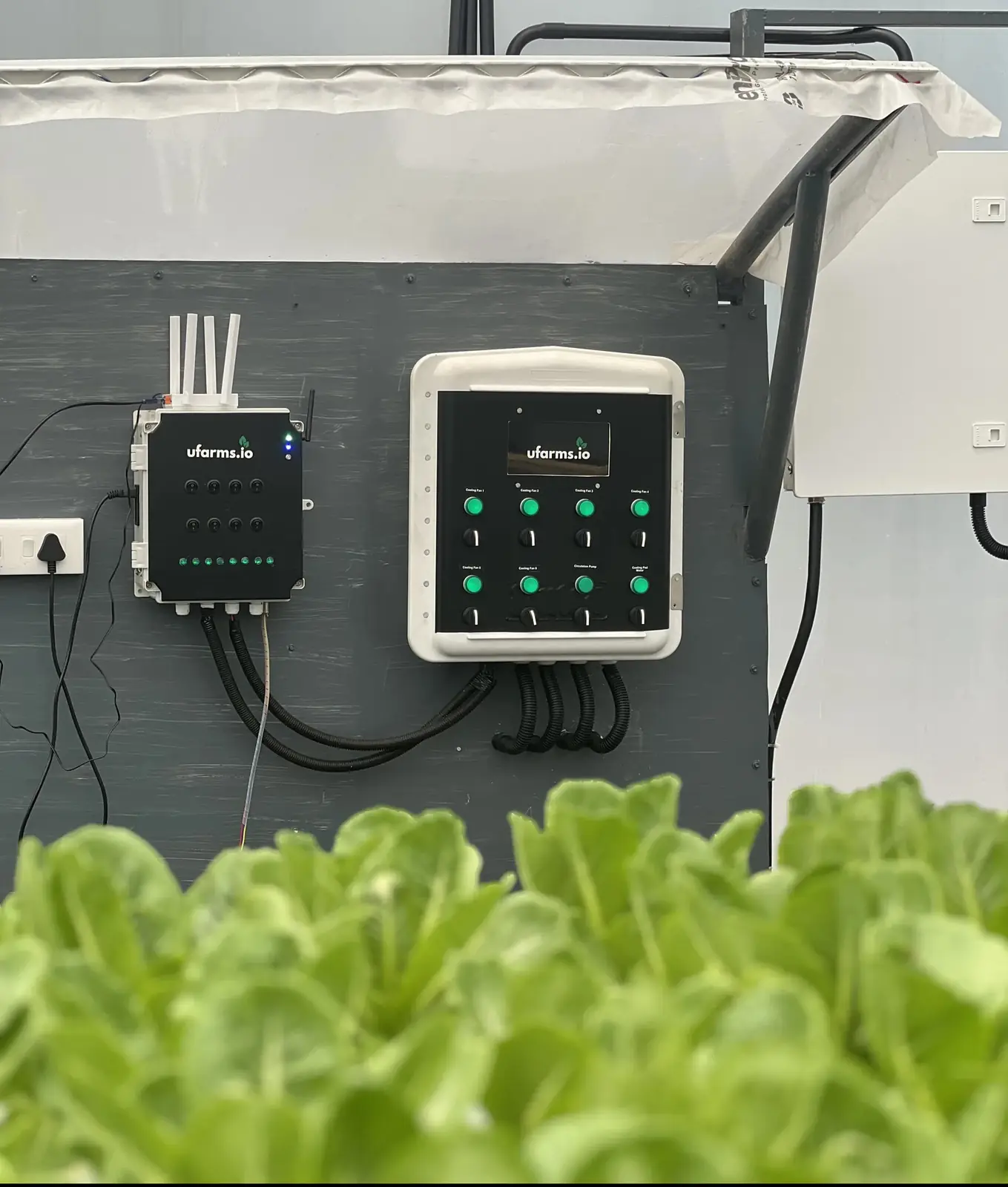 Ufarms controllers installed beside hydroponic crops