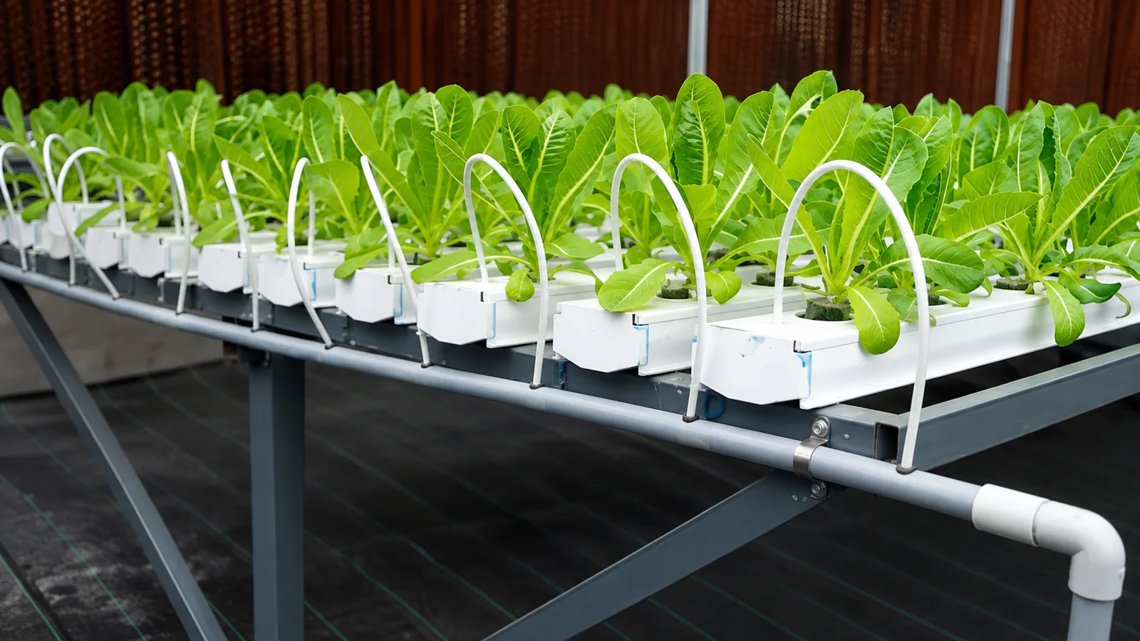 Irrigation and nutrient circulation pumps