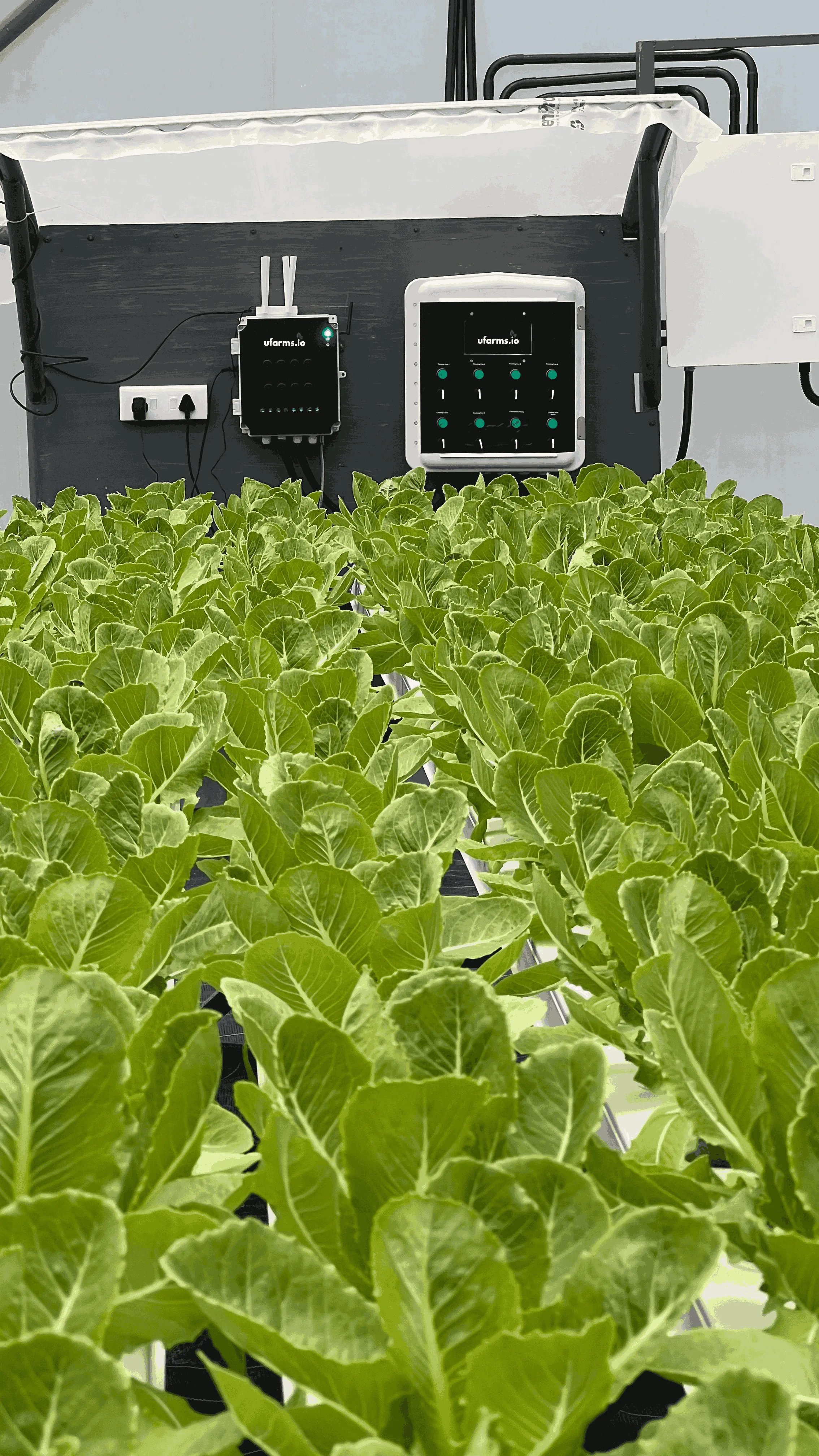 CEA automation challenges Nexus addresses
