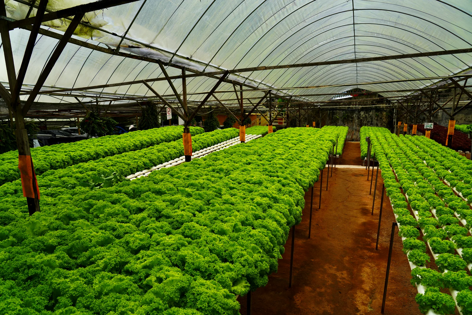 Indoor & vertical farms