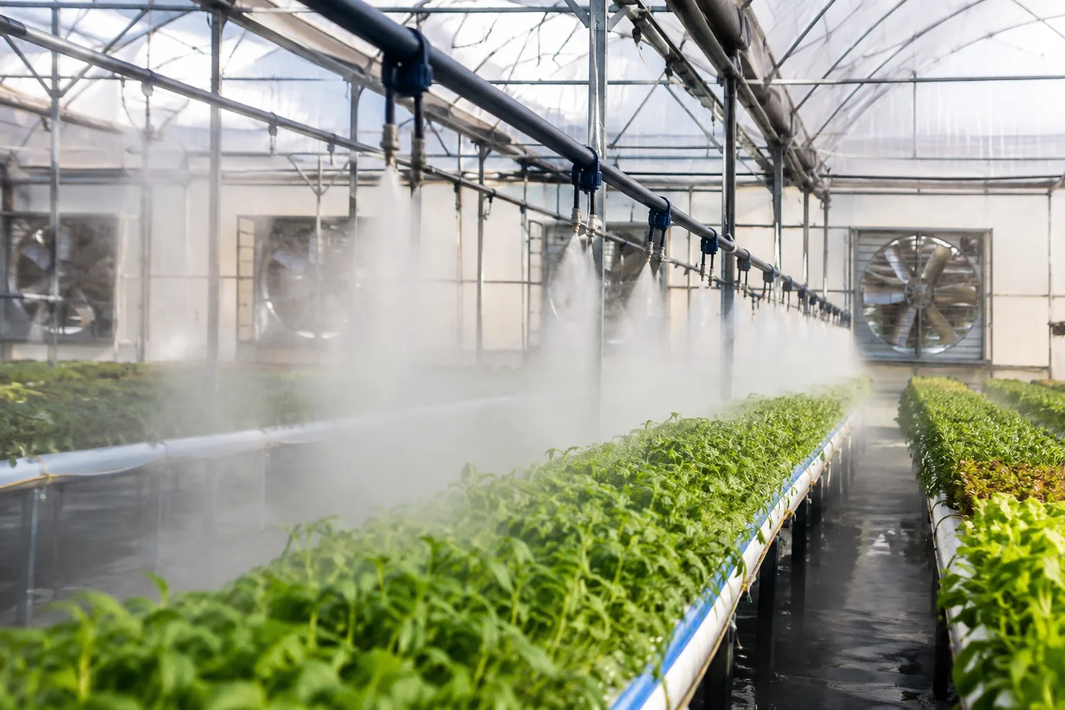Greenhouse automation controlling climate and irrigation