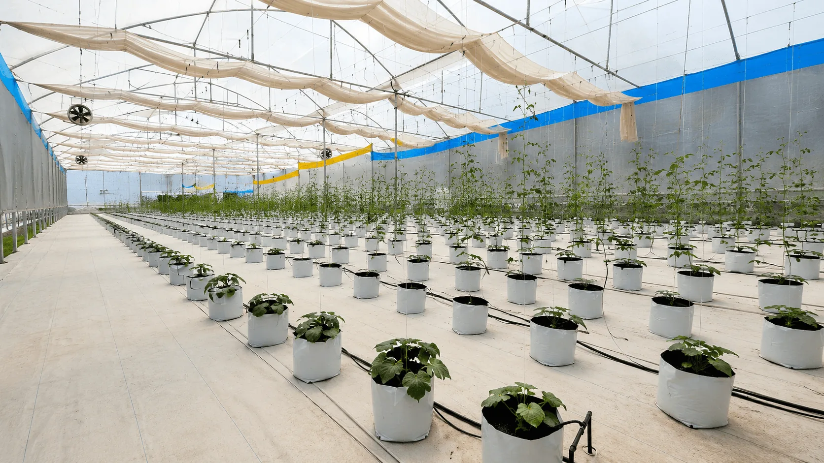 Indoor Farming Automation