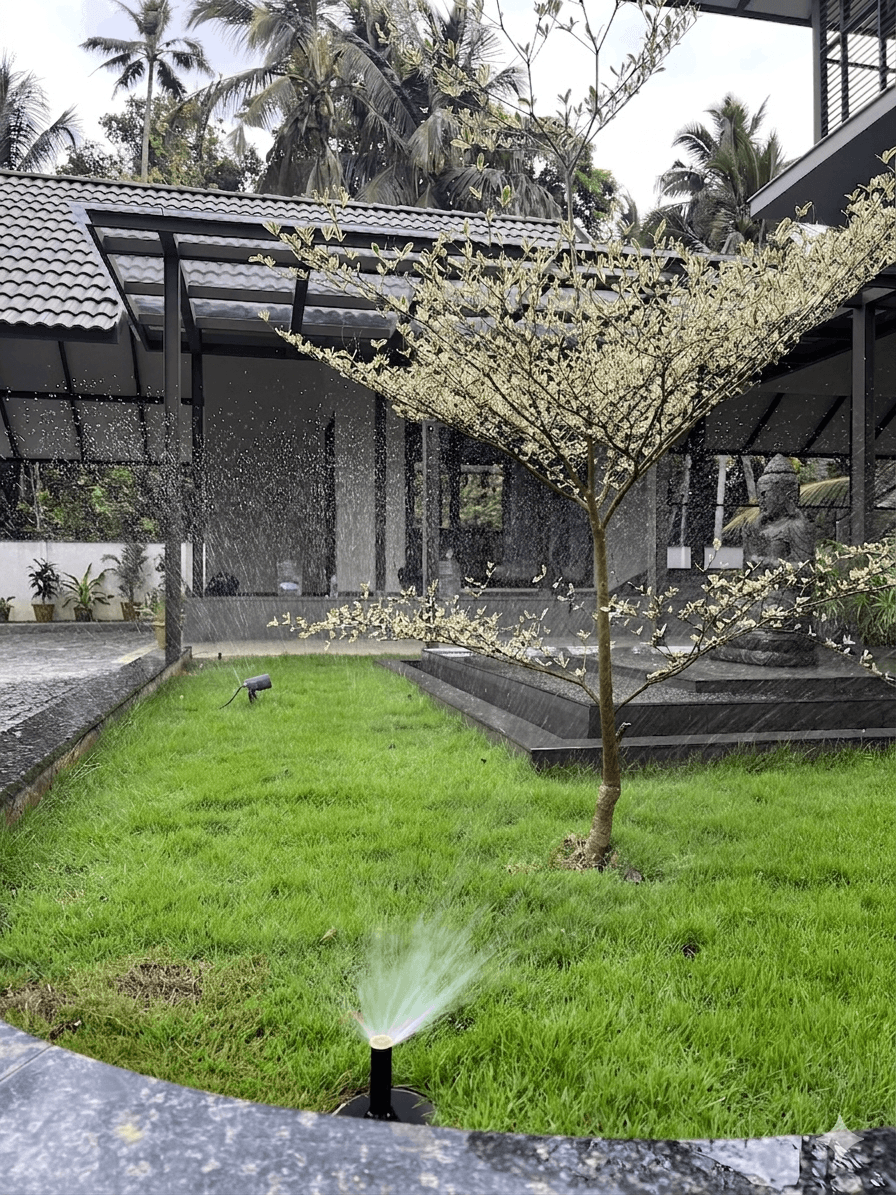 Commercial Greenhouses
