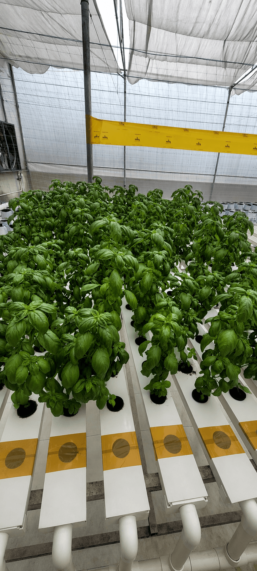 Fertigation challenges Doser X3 addresses
