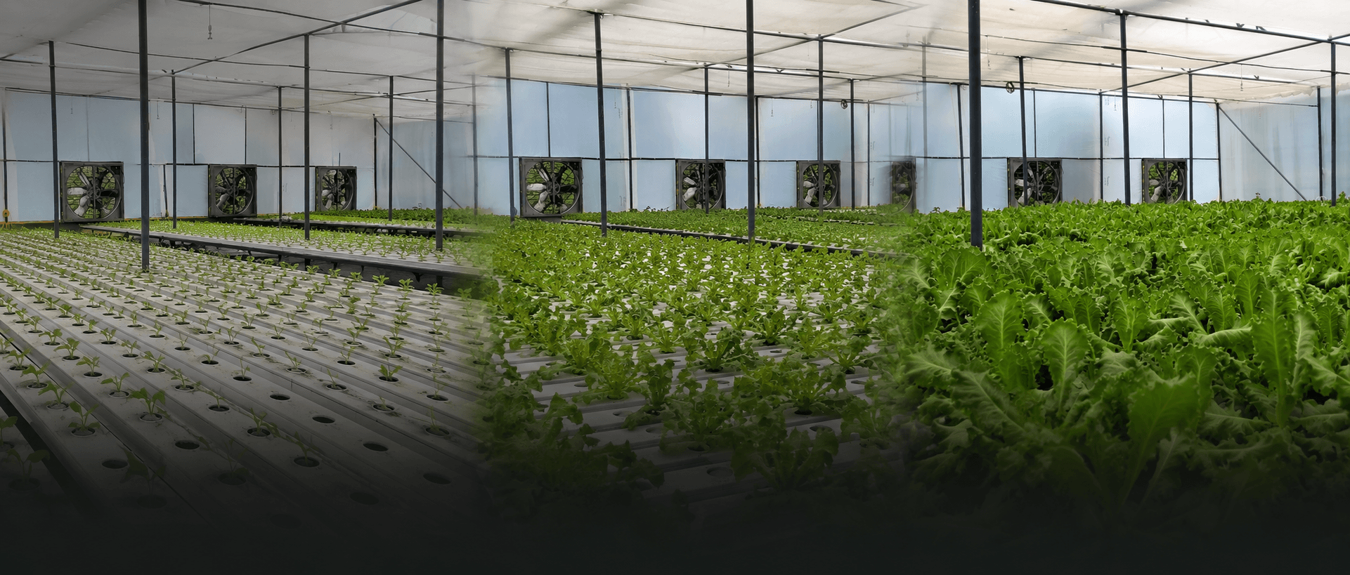 Real farm deployment