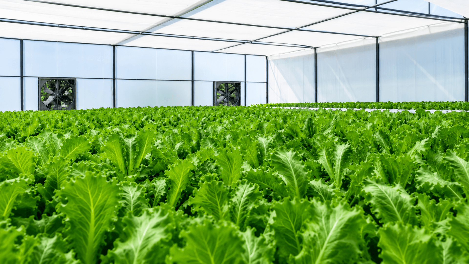 Farm automation solutions