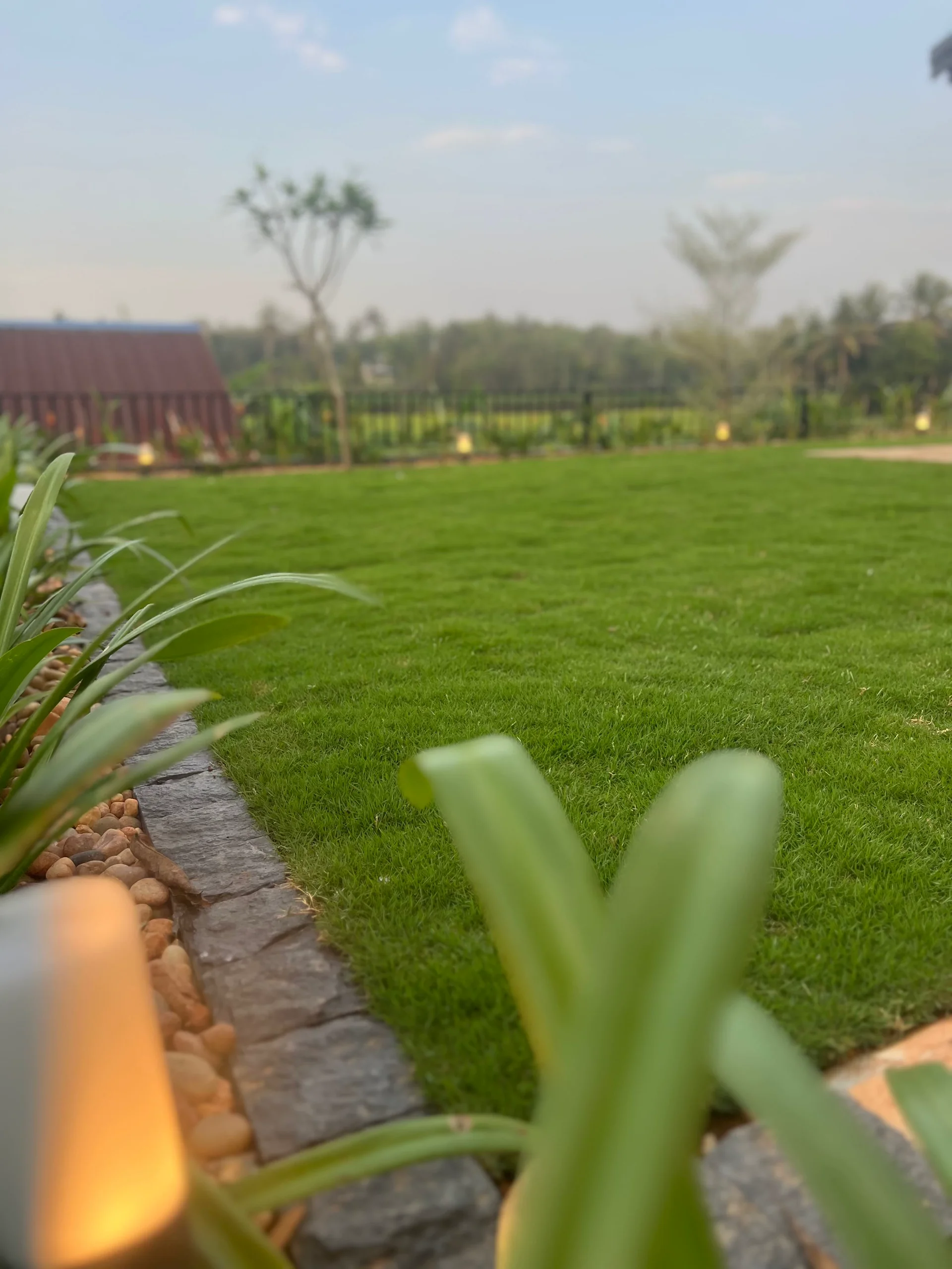 Buddha wall feature overlooking open landscape