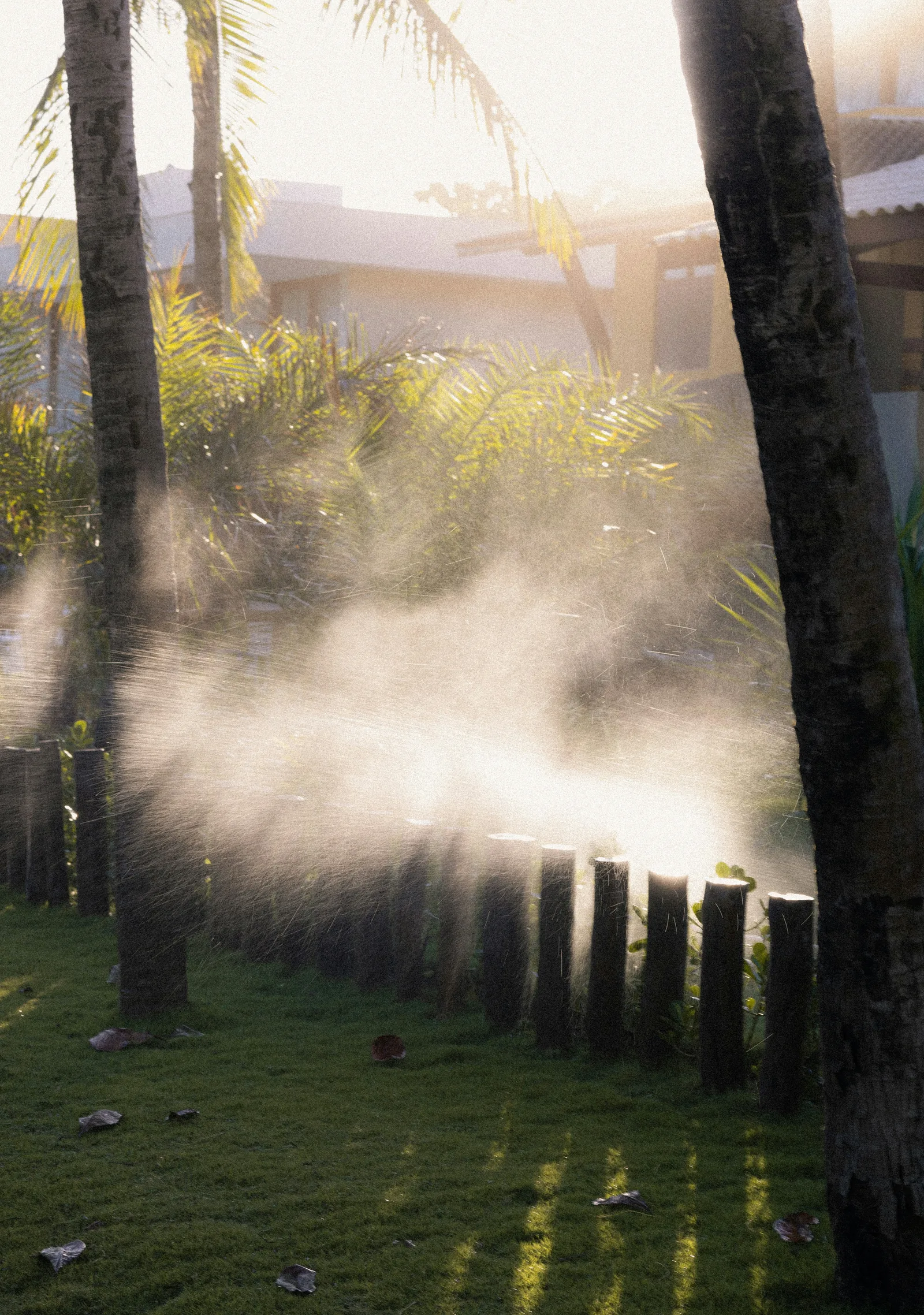 Fogging Systems by Ufarms Landscape Studio