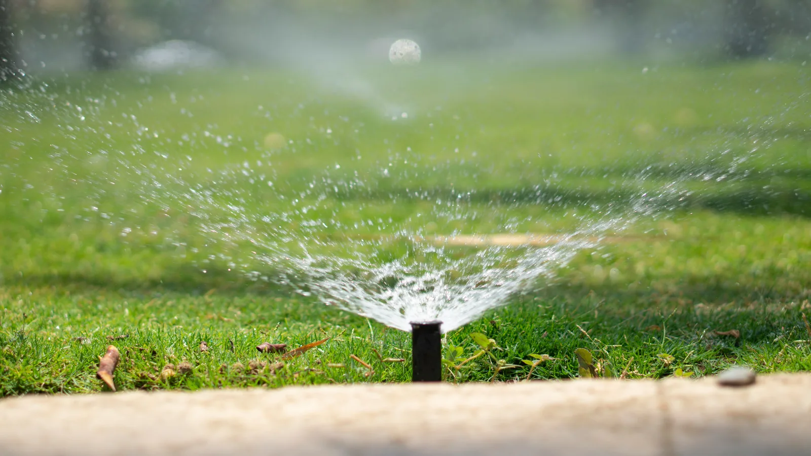 Pop-up Sprinklers by Ufarms Landscape Studio