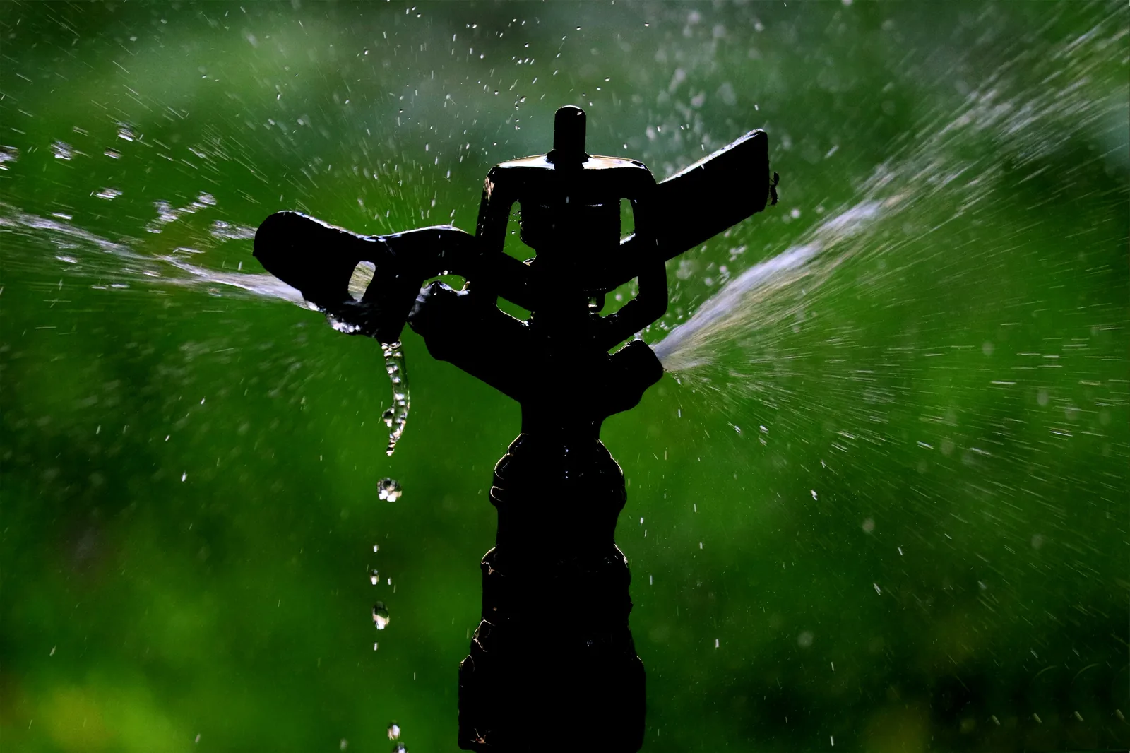 Rotary Sprinklers by Ufarms Landscape Studio