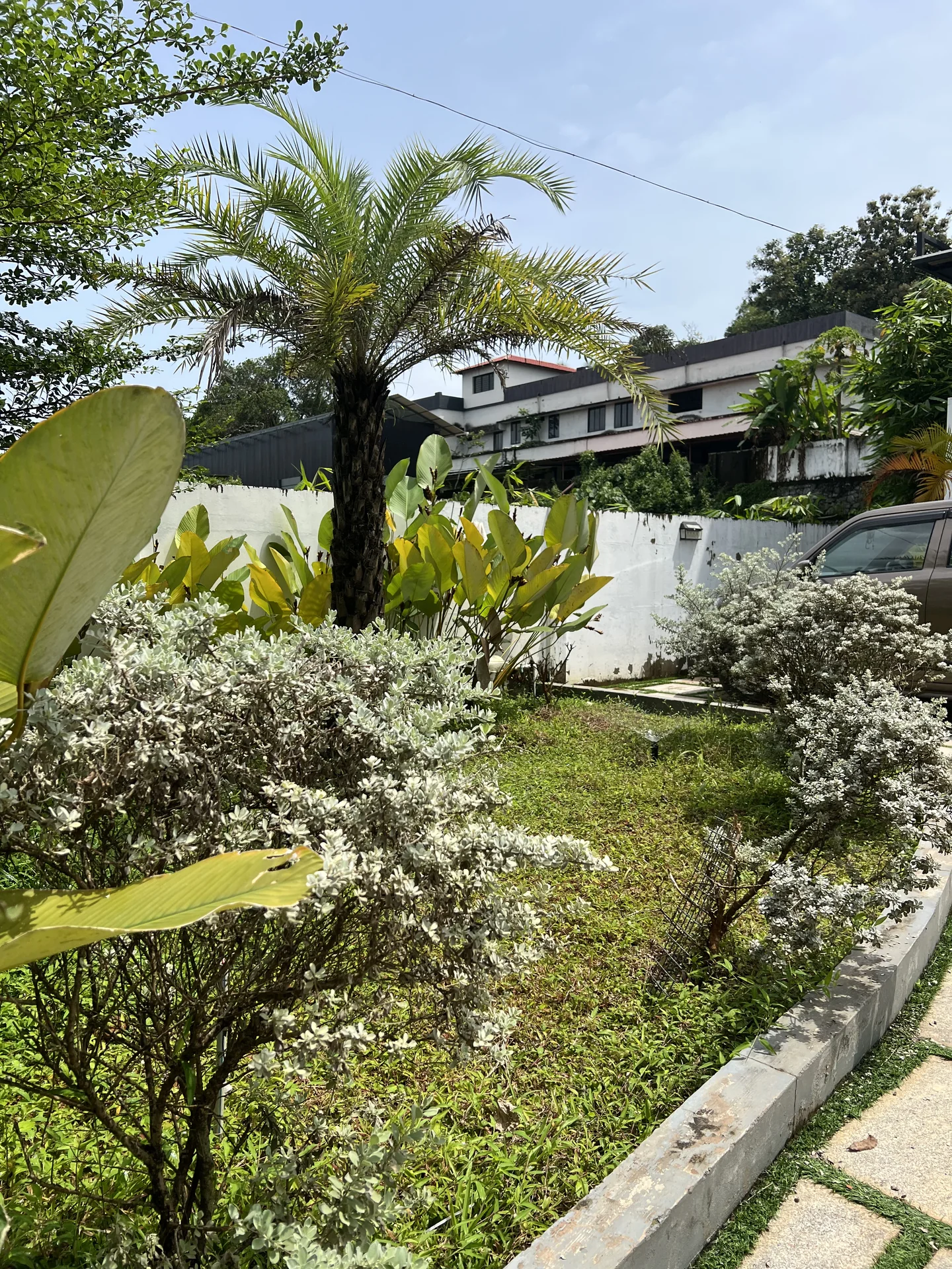 Planting Design by Ufarms Landscape Studio