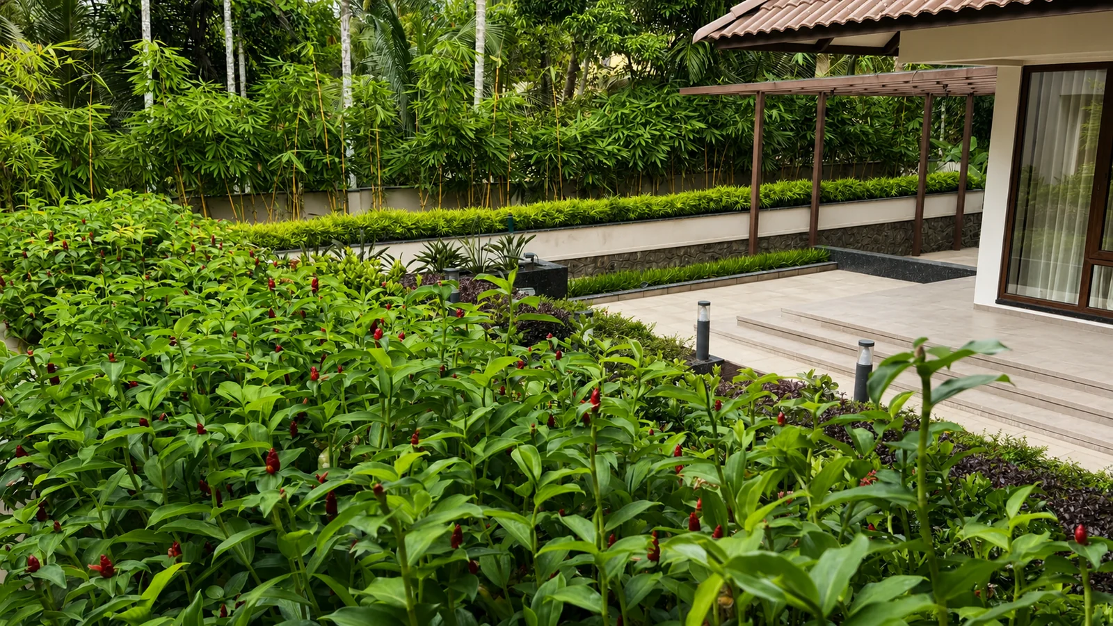 Softscape by Ufarms Landscape Studio