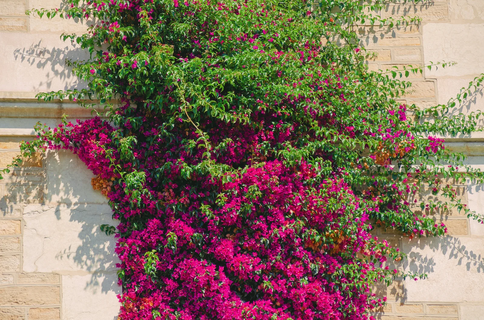 Vertical Gardens by Ufarms Landscape Studio