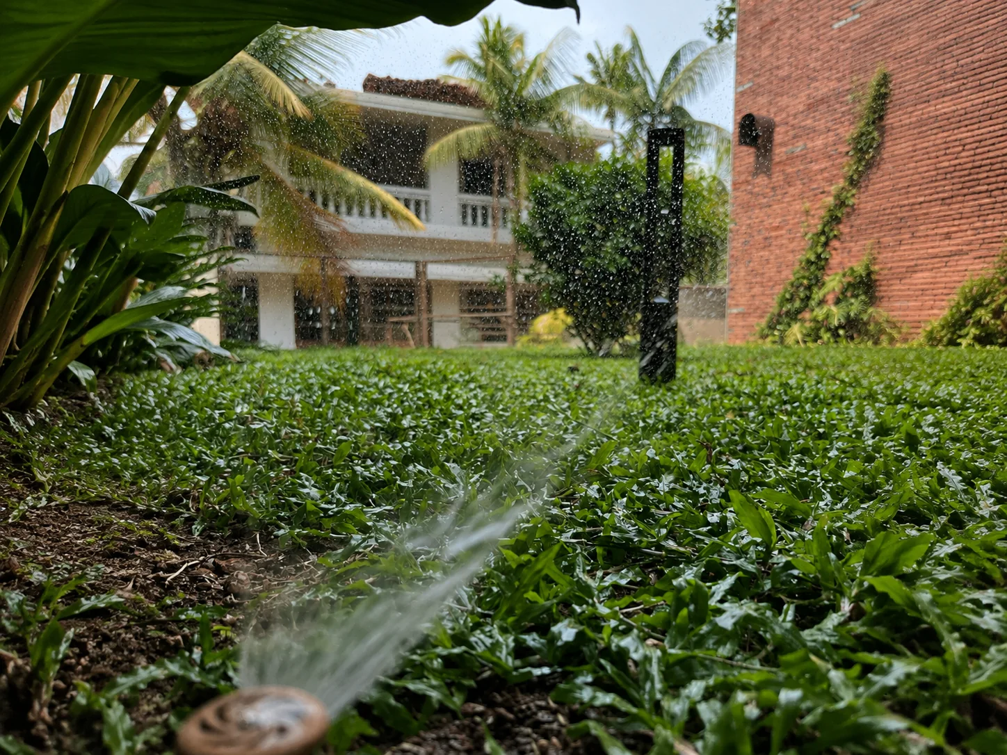 Irrigation delivering water efficiently across a finished landscape