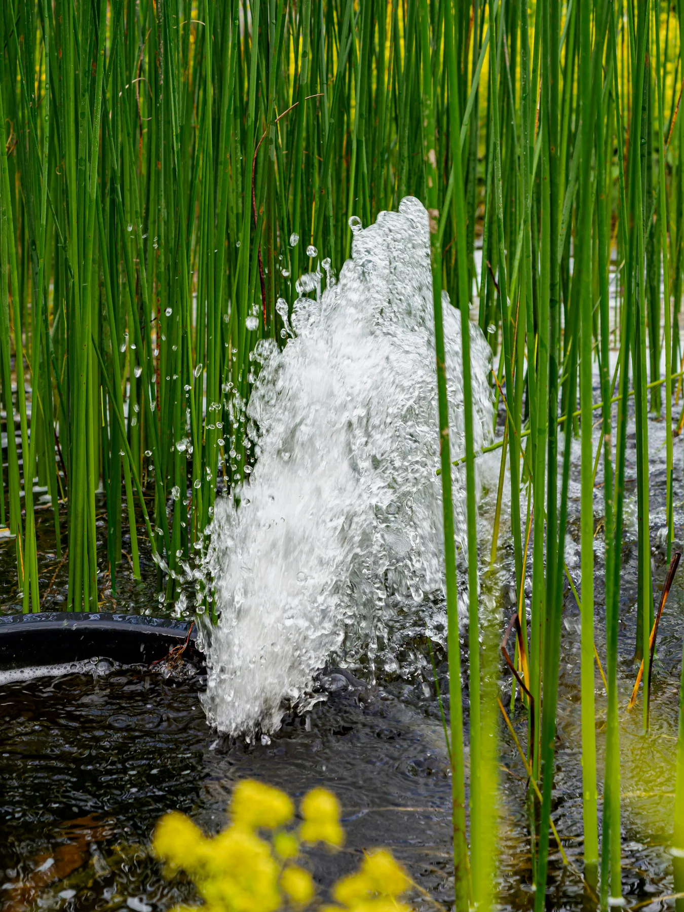 Water Features by Ufarms Landscape Studio