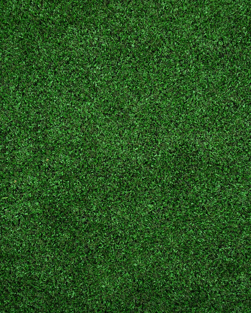 Artificial Turf lawn installed by Ufarms Landscape Studio