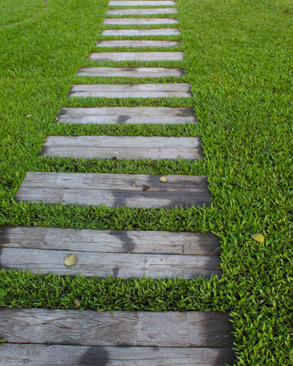 Mexican Grass lawn installed by Ufarms Landscape Studio