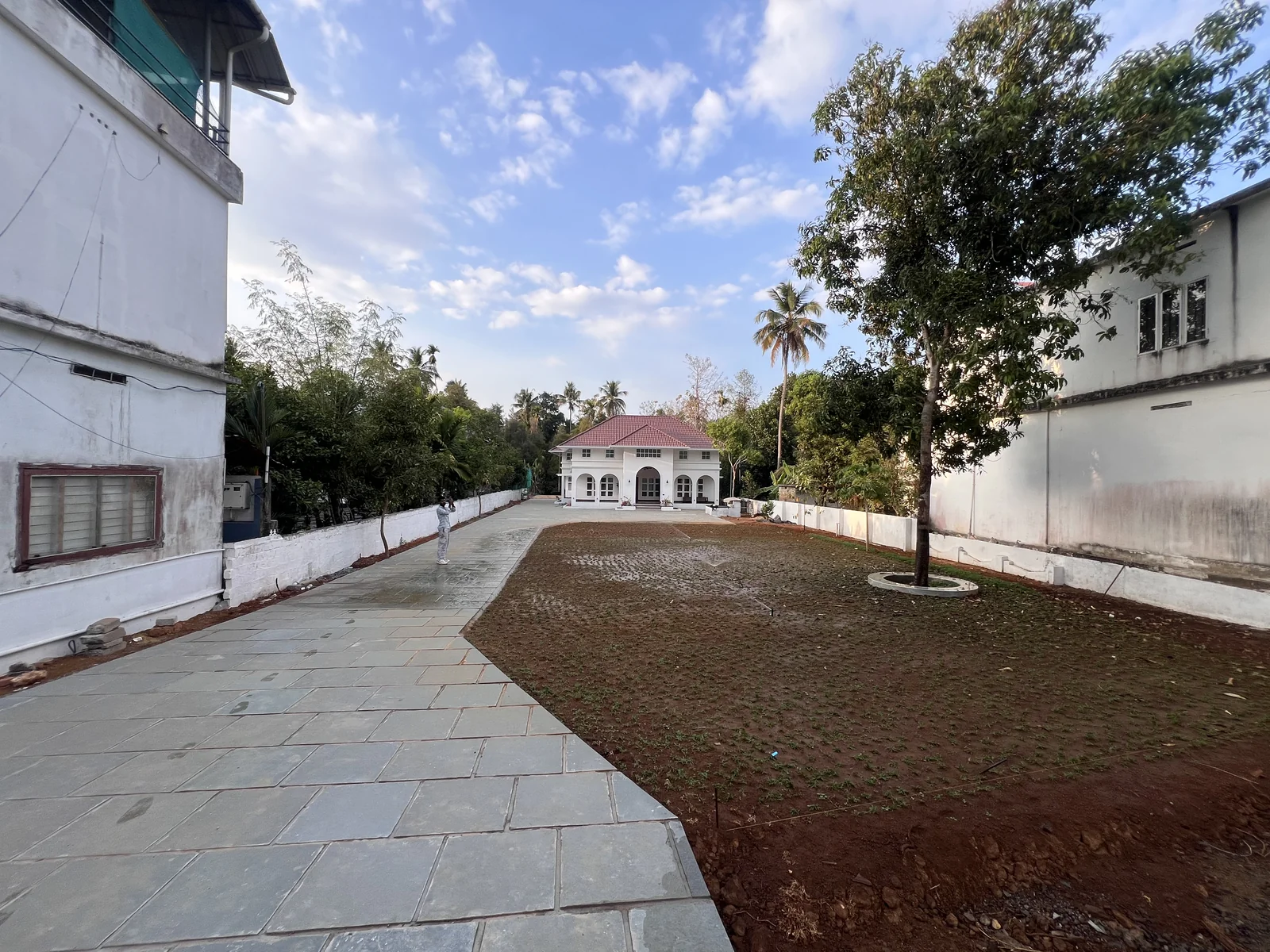 Fresh grass installation across a residential lawn