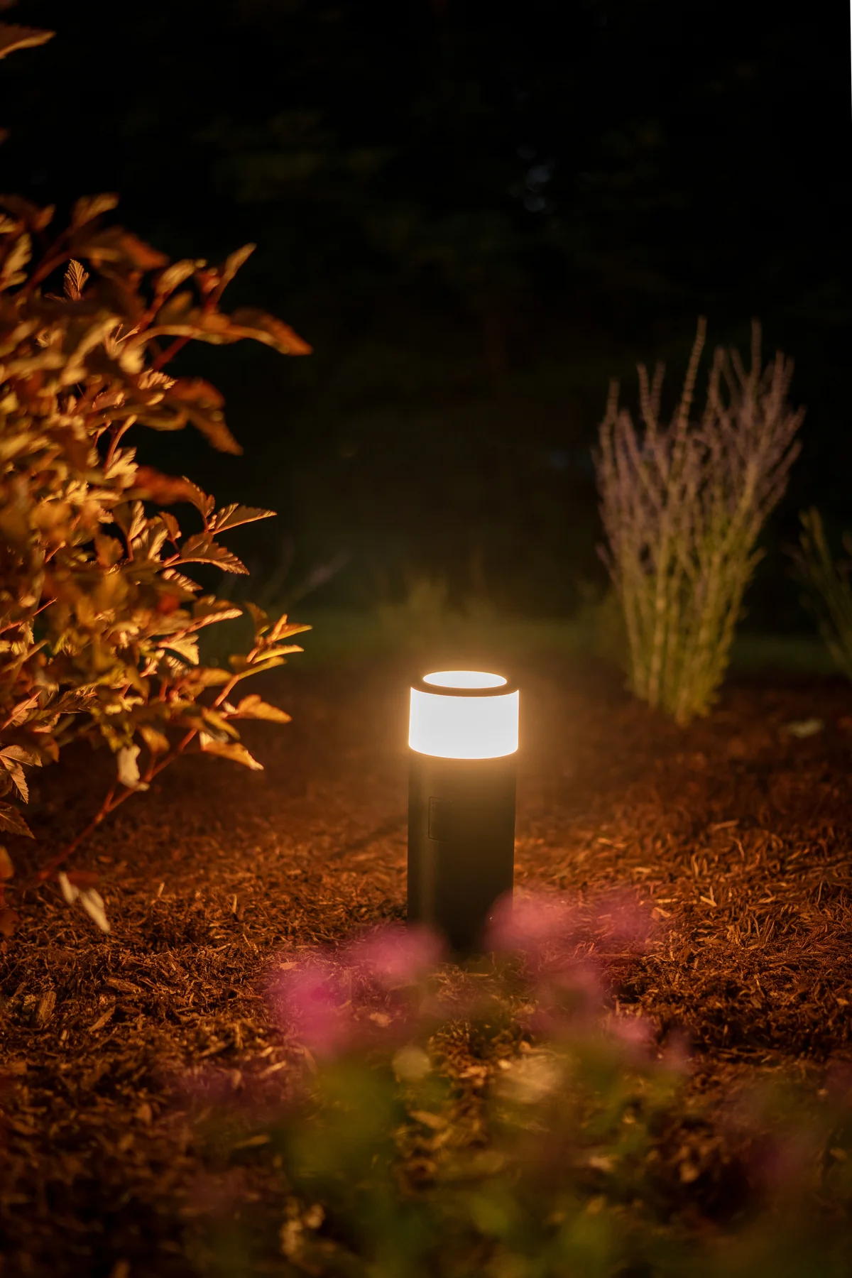 Close-up of a path light warming garden planting