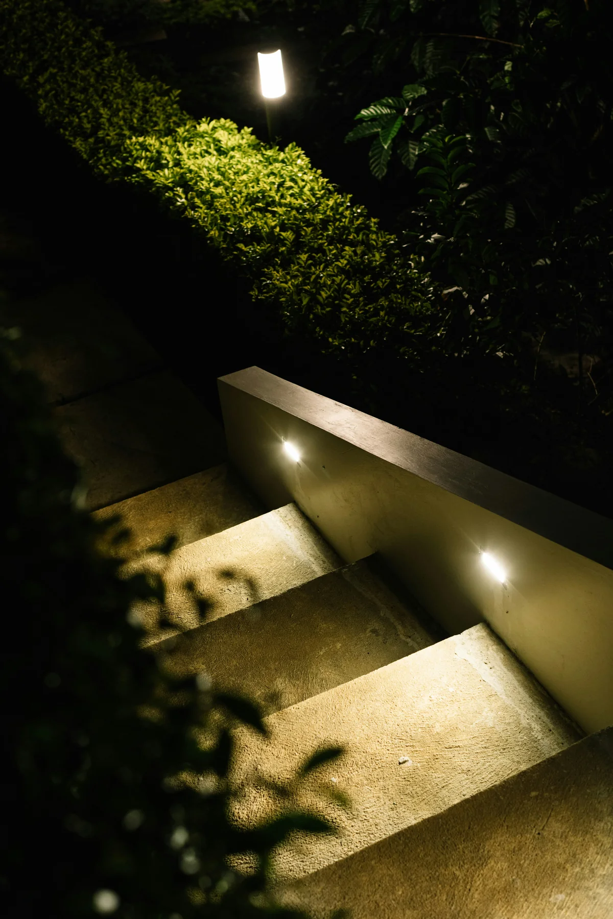 Night garden lighting detail