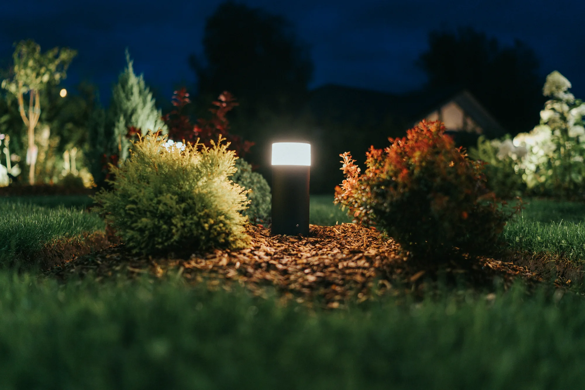 Warm landscape lighting across a garden at night