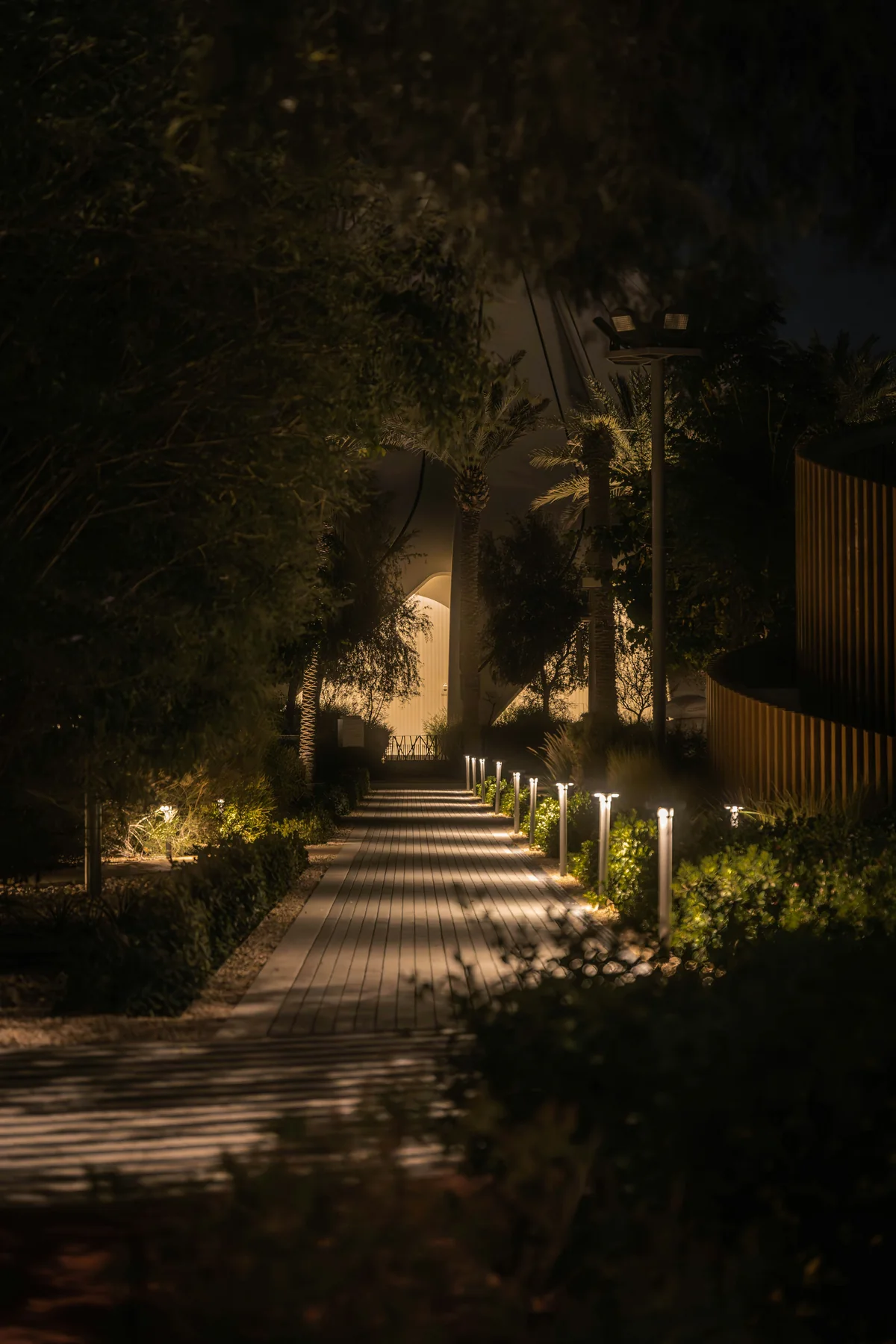 Path and accent lighting through the landscape