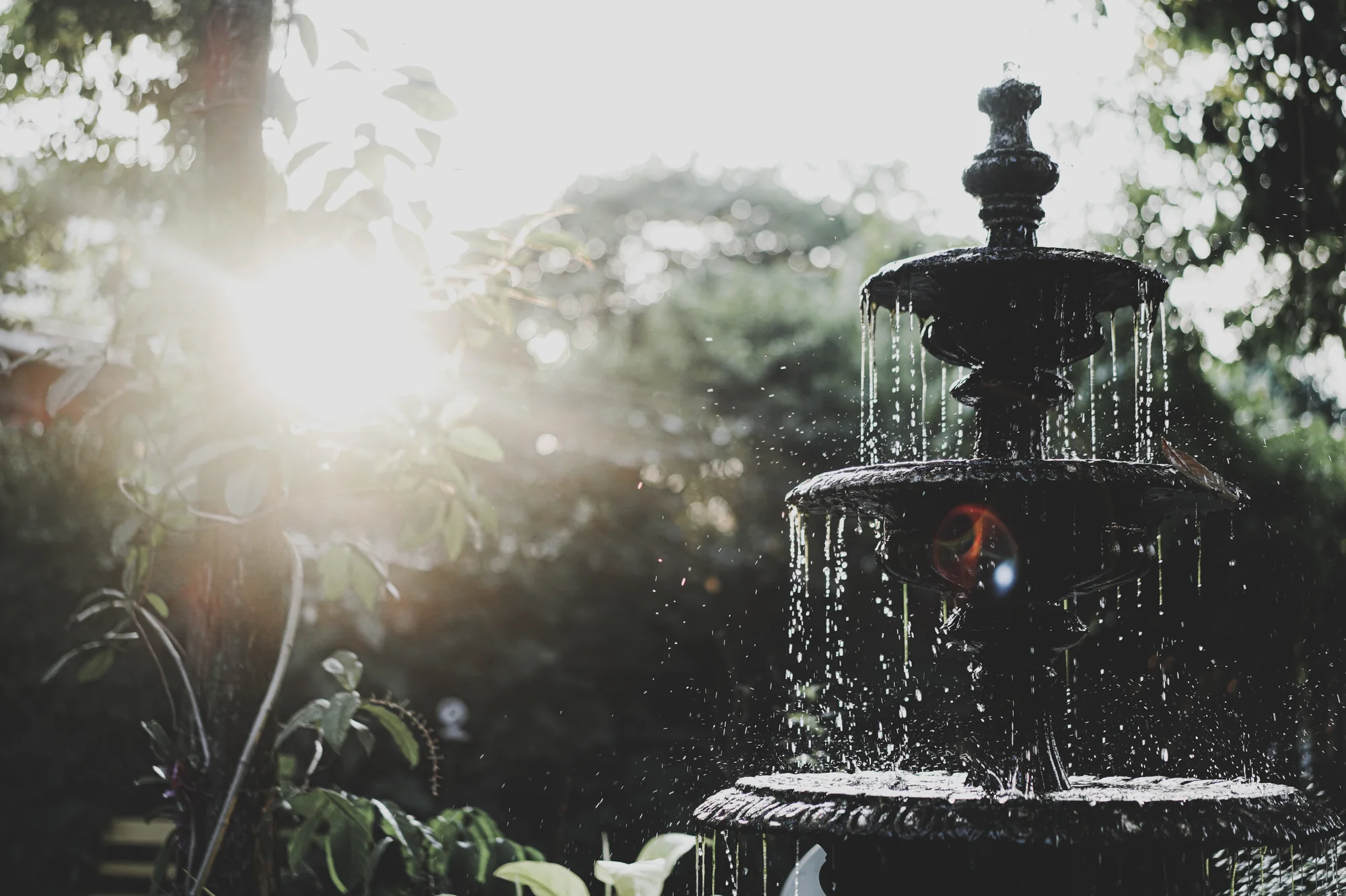 Contemporary Fountains by Ufarms Landscape Studio