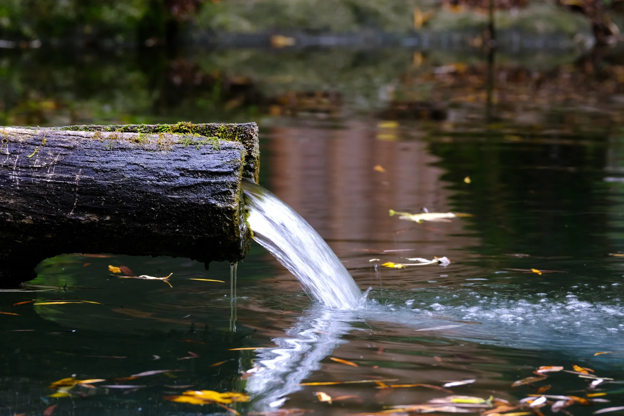Water pouring from a mossy log spout into a dark garden pond