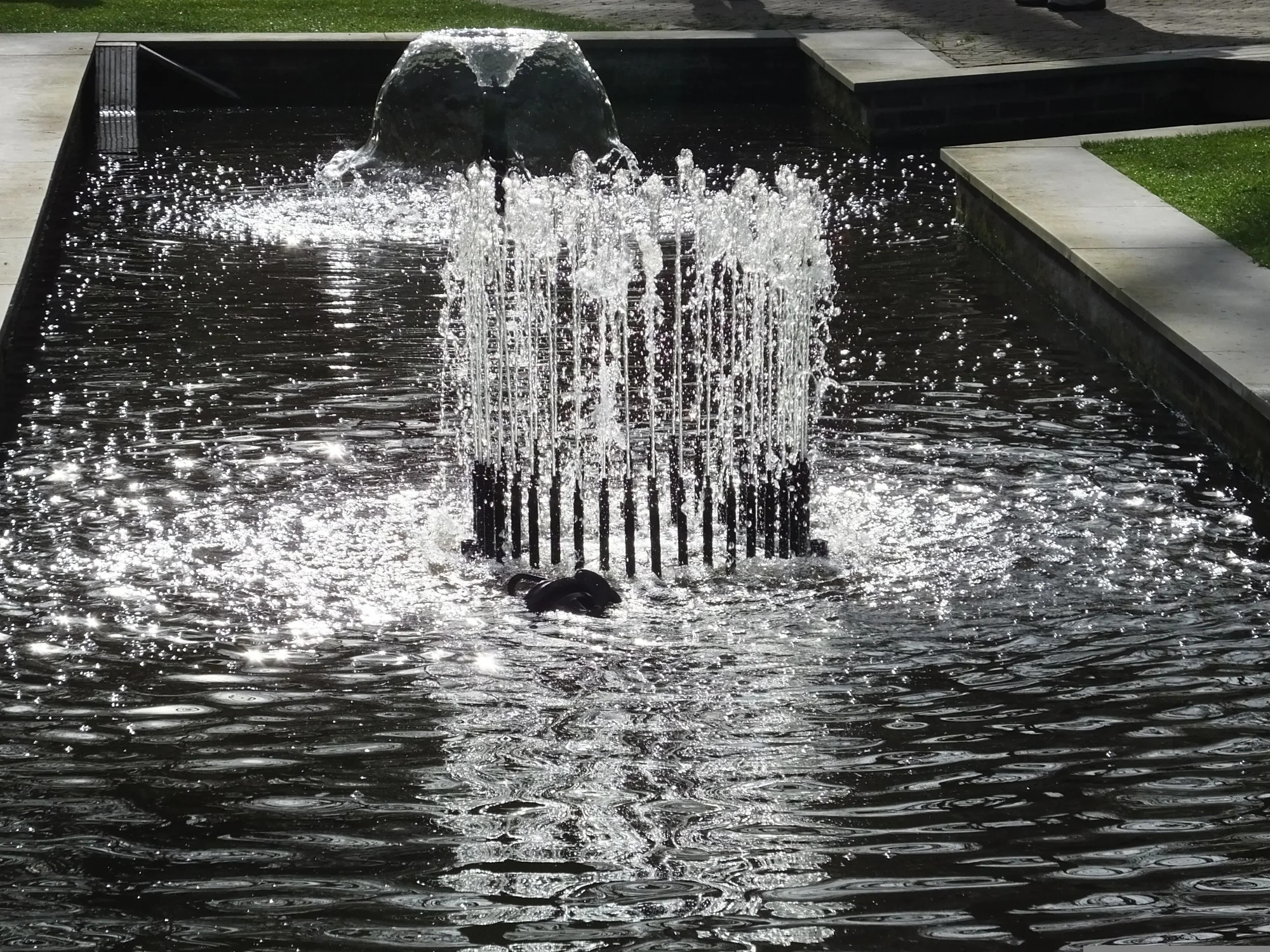 Ring of fountain jets in a dark reflecting pool
