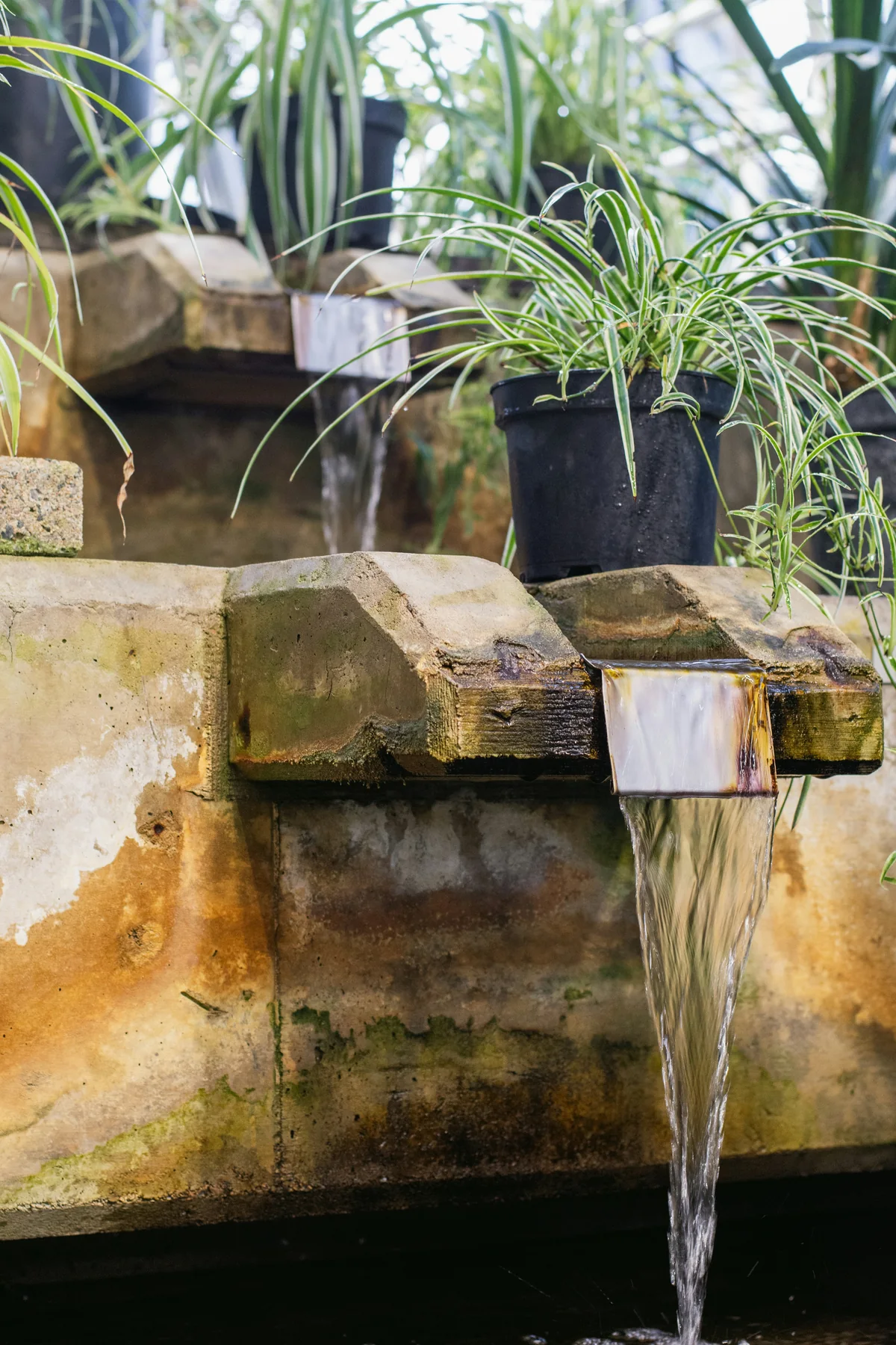 Sheet of water falling from a metal spout between planting tiers
