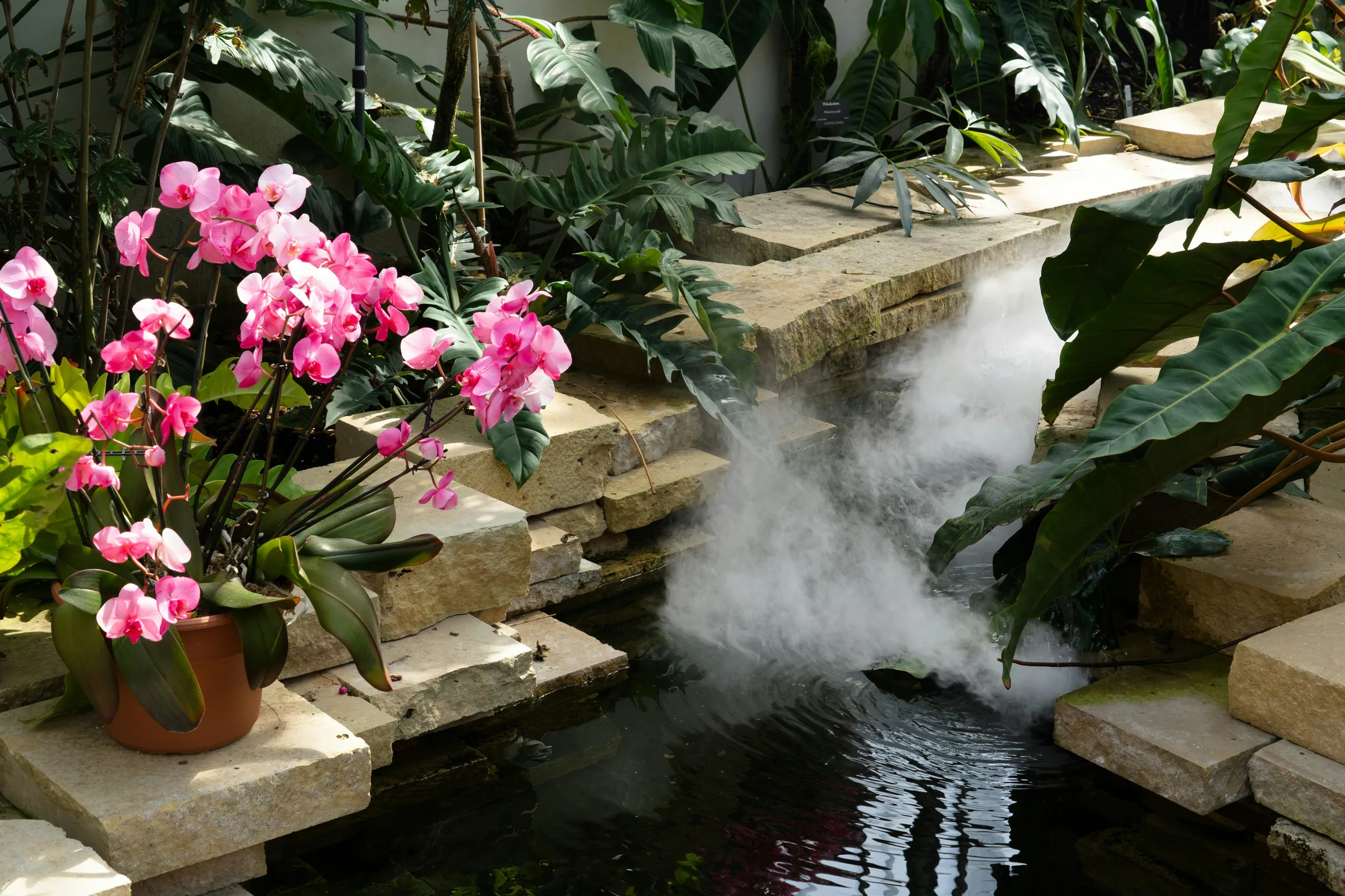 Luxury water feature in a composed outdoor setting