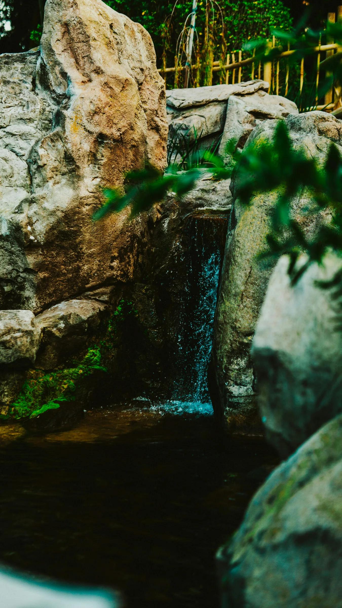Cascading water creating a calm garden soundscape
