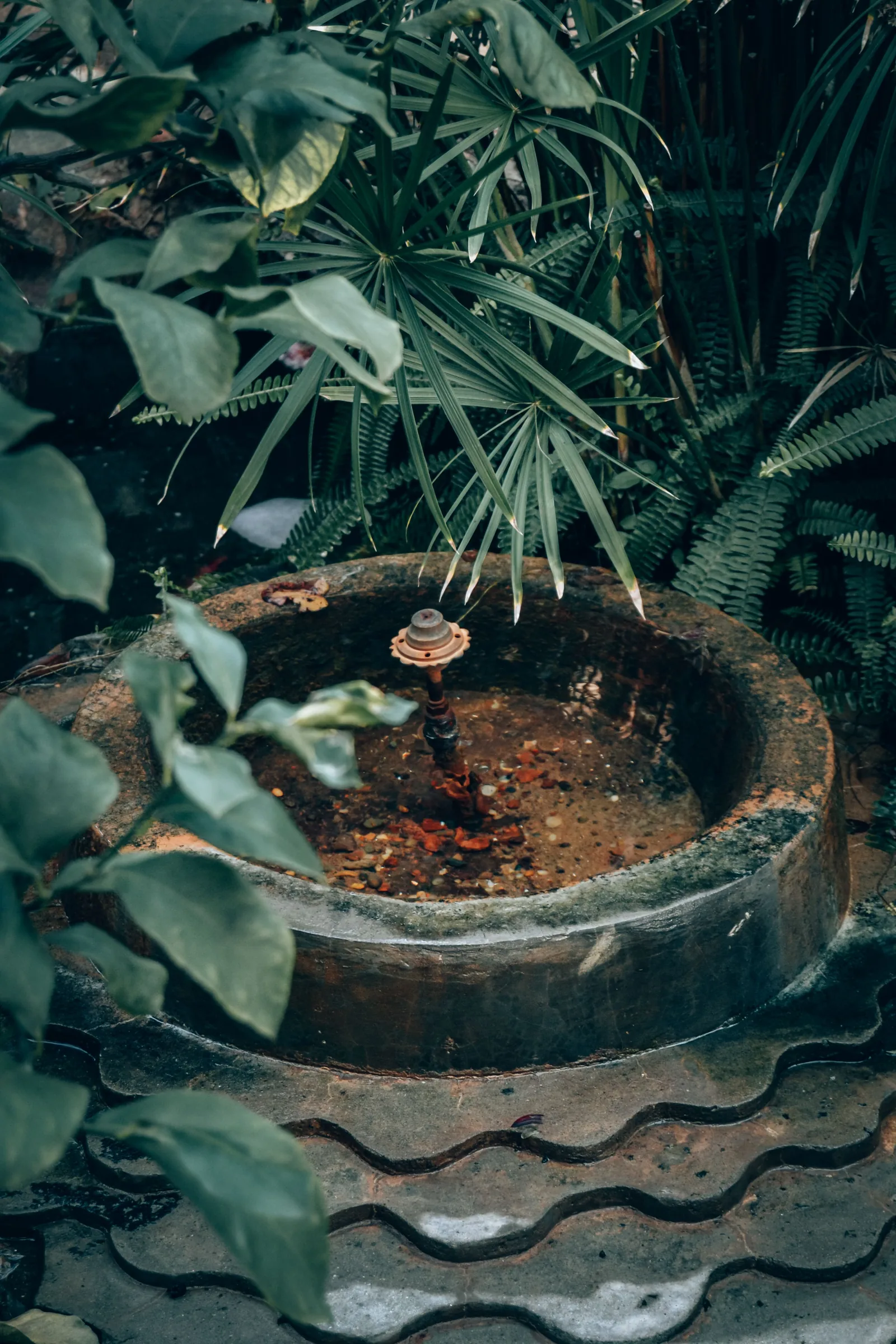 Water feature as the focal point of a landscape