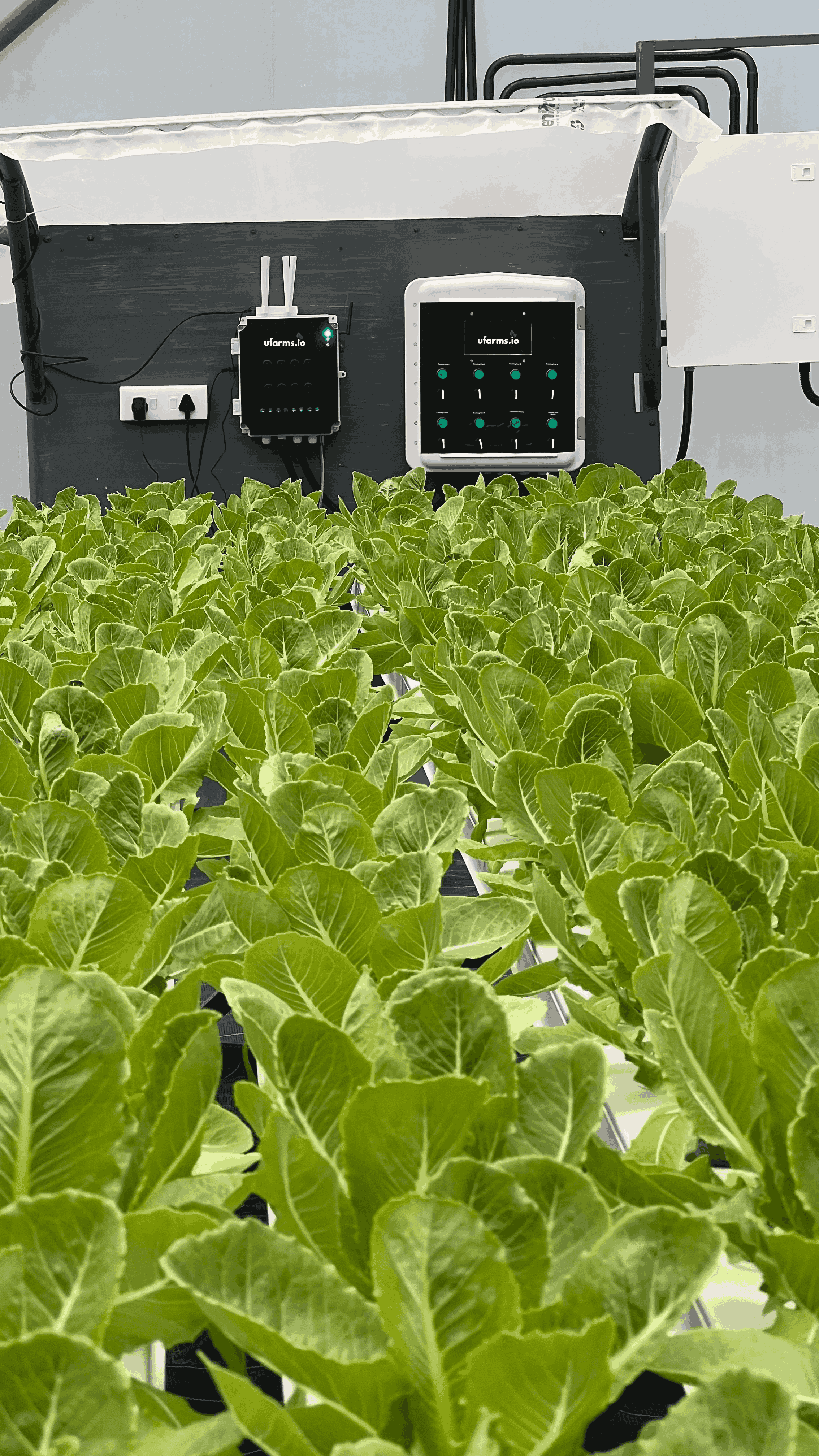 CEA automation challenges Nexus addresses