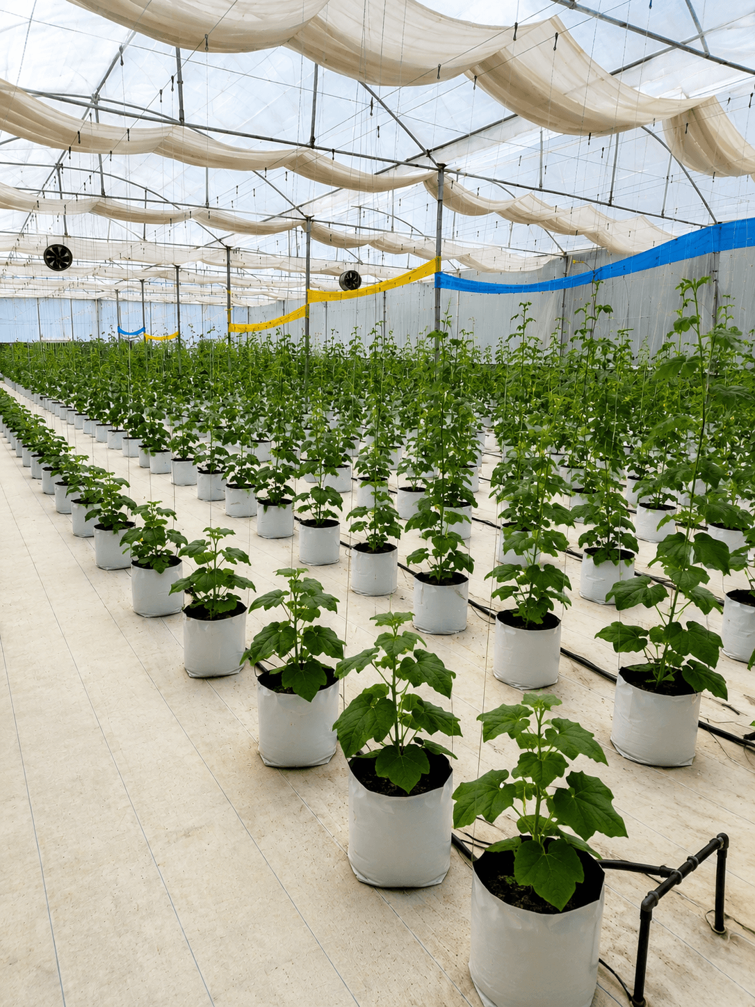 Facility automation challenges PulsePro addresses