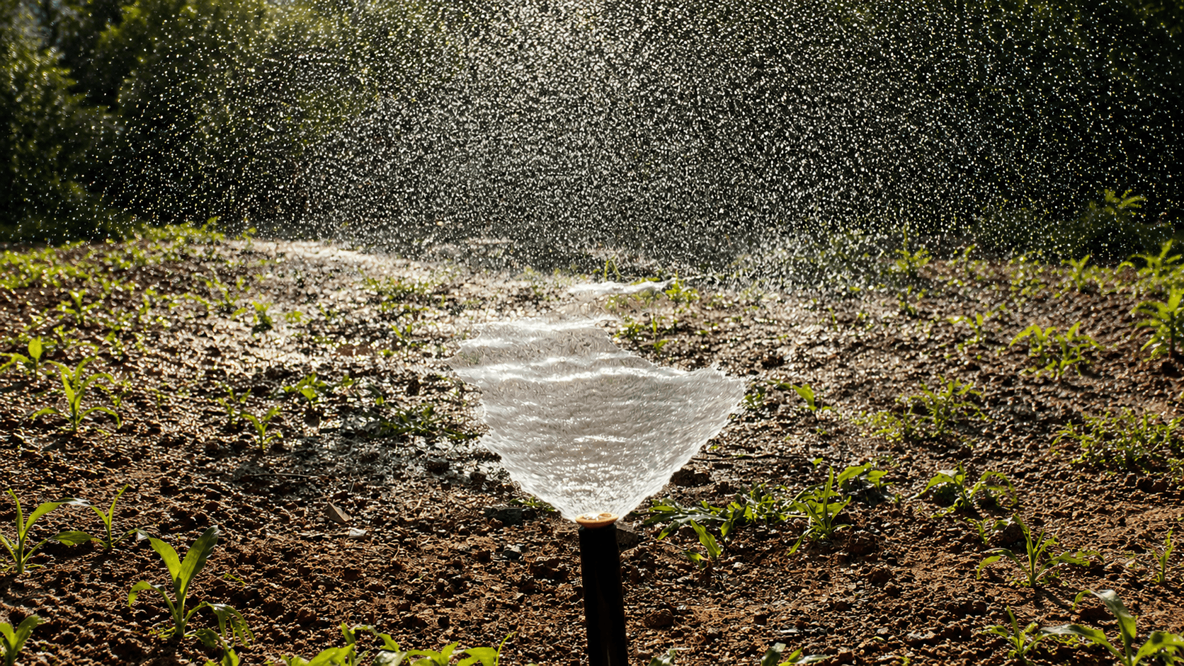 AquaFlow